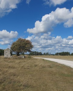 Närsudden