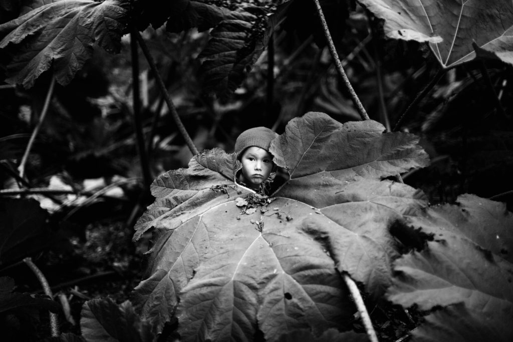 Large Leaf. Jessica fotar både med film och digitalt. Mycket i svartvitt, men hon gillar färg också, även om hon ofta är mer intresserad av formen än färgen.